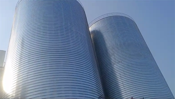 达孜2座混凝土高架卷板仓